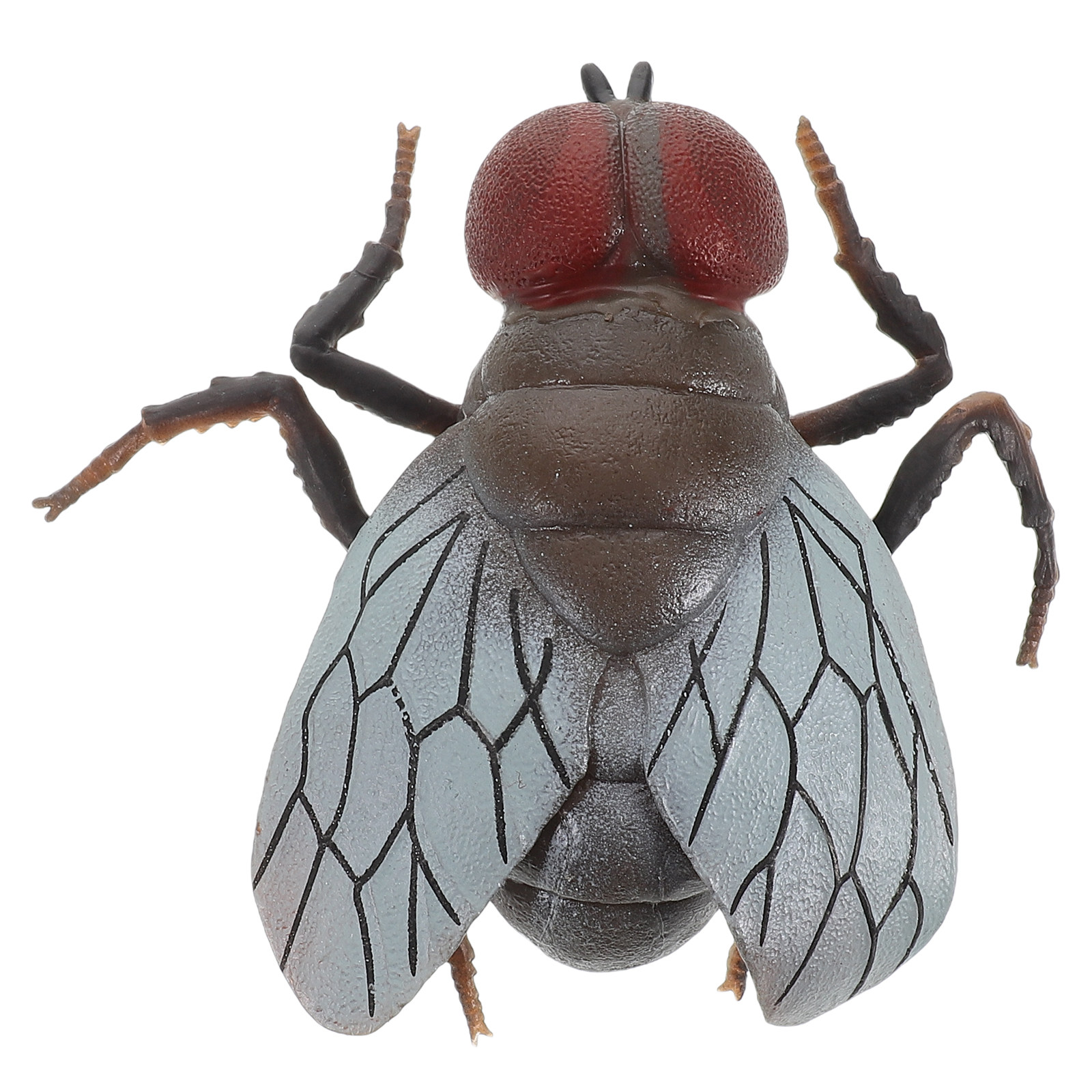 Realistic Fly Insect Toy for K - Prank Toys review and price