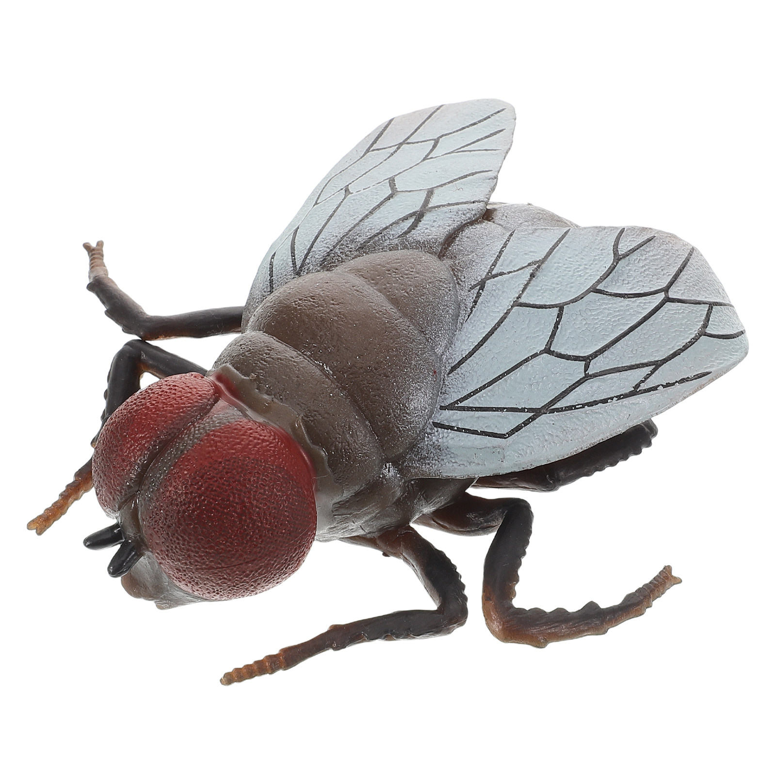 Realistic Fly Insect Toy for K - Prank Toys review and price