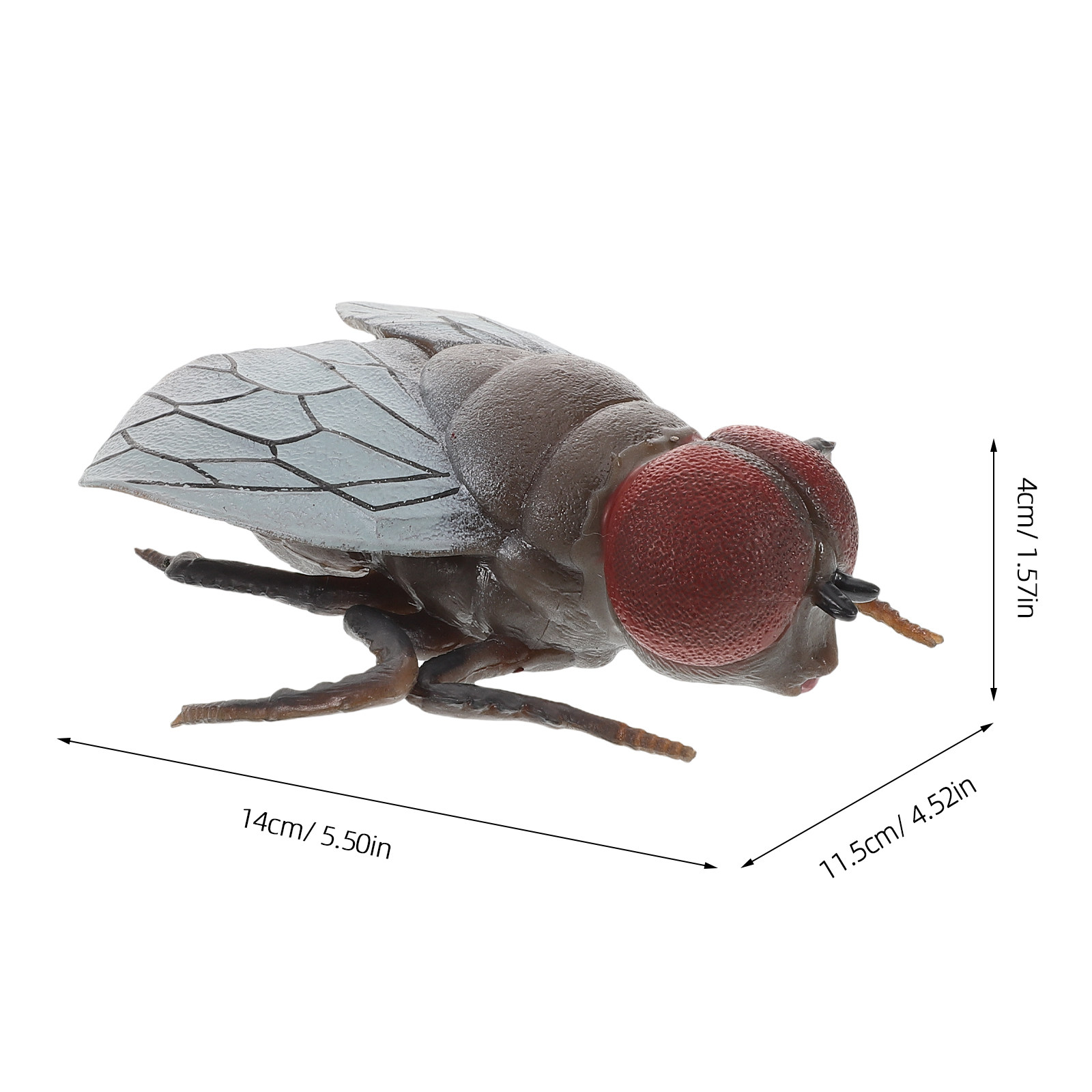 Realistic Fly Insect Toy for K - Prank Toys review and price
