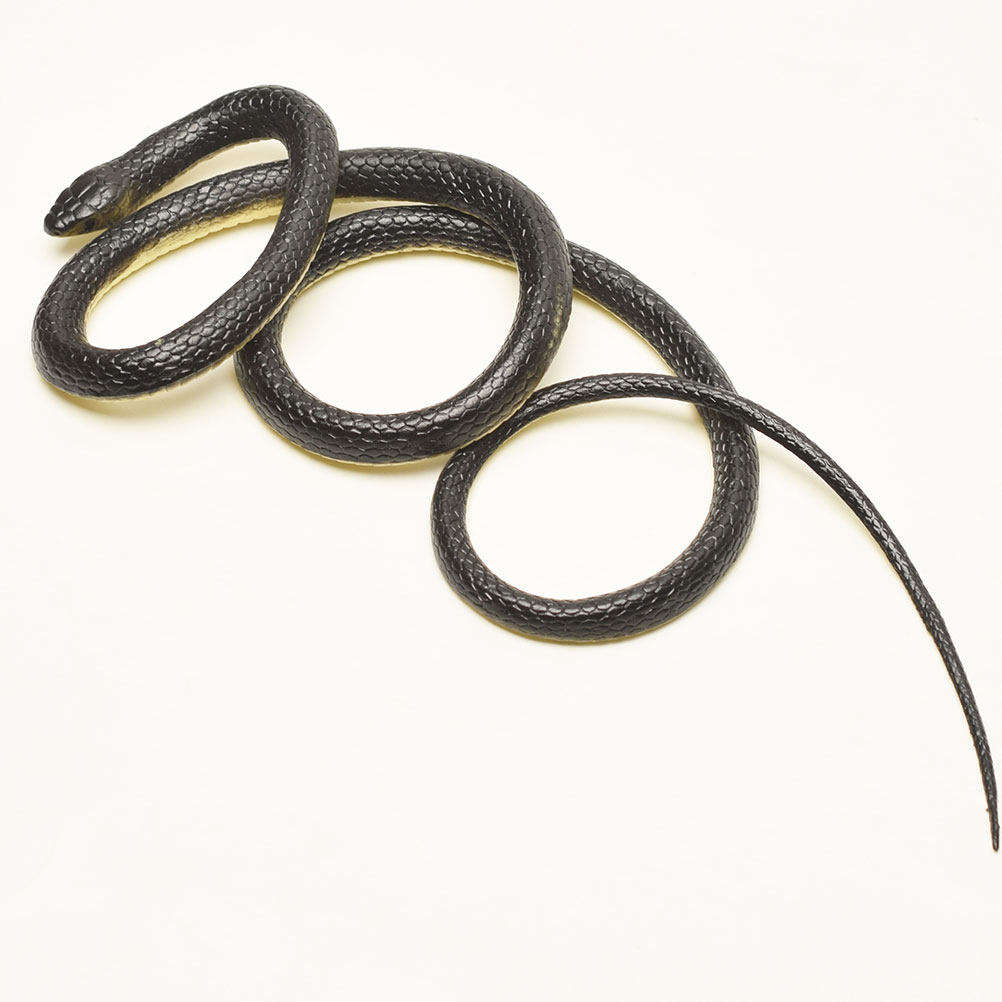 Realistic Green Snake Prop for - Prank Toys review and price